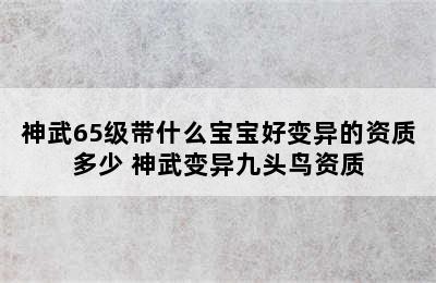 神武65级带什么宝宝好变异的资质多少 神武变异九头鸟资质